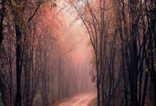 屯昌天涯社区论坛：分享生活乐趣，互帮互助的温馨小天地！