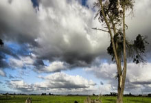 微信论坛和天涯社区一起走过的网络时光