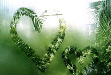 微信论坛和天涯社区一起走过的网络时光