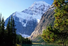 屯昌天涯社区论坛：分享生活乐趣，互帮互助的温馨小天地！