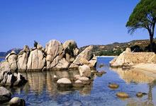 屯昌天涯社区论坛：分享生活乐趣，互帮互助的温馨小天地！